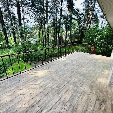 данели * ציגוב צ'ארק