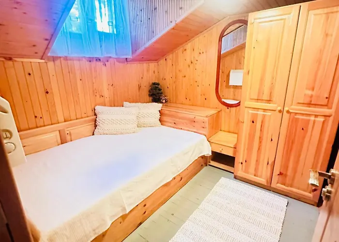 данели ציגוב צ'ארק